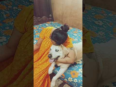 Coco gets scammed by Mum 😱😱😱😱. #cocomelon #lovecoco #funny #funnydog #funnylabrador #comedy #pets