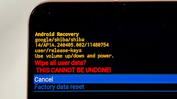 How To Factory Reset Google Pixel 8 WITHOUT Touch Screen!