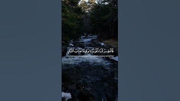 الذين يقولون ربنا - سورة #آل_عمران - القارئ الشيخ #محمد_حسين_عامر#Yemen #رمضان #صنعاء #اليمن #القران