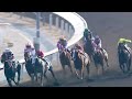 2025 12 27 沙田 全部賽事 聚焦頭馬 直路精華片段 @racingshorts272