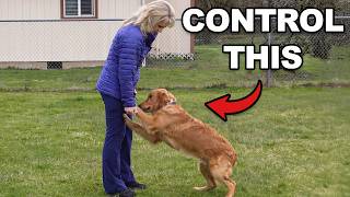 The BIG Mistake Dog Owners Make When Giving Treats
