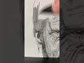 Joel Miller Pencil Sketch | The Last of Us #thelastofus #joelmiller #art #shorts