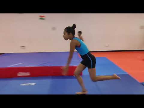 flip n fly gymnastics academy sector 57