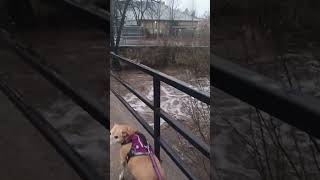 Granite Creek Prescott Arizona 1