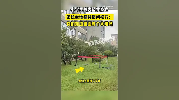 小學生校內墜7米深井身亡 - 天天要聞