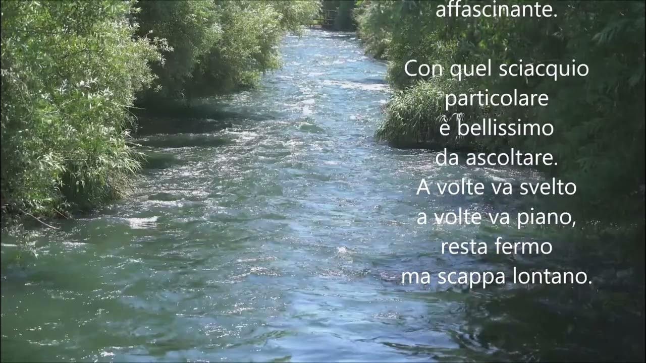 Bisogna Essere Un Mare Per Accogliere Un Fiume Melmoso Il fiume poesia di Velise Bonfante - la voce è della piccola Sissi