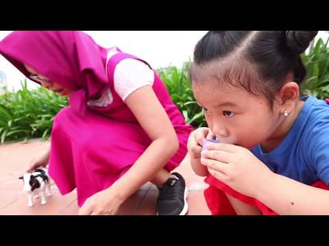 Video Vắt Sữa Bò Đồ Chơi - Milking Cows Toys - youtube