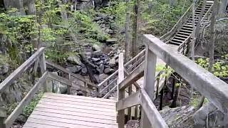 VID 20110419 00013