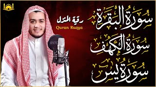 سورة البقرة، الكهف، يس - قرآن كريم بصوت هادئ وجميل جدا - استمع بنية الرزق والشفاء surah al baqarah