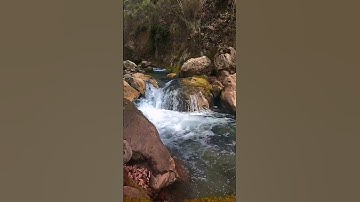 (أَلَمْ تَكُنْ آيَاتِي تُتْلَىٰ عَلَيْكُمْ فَكُنتُم بِهَا تُكَذِّبُونَ) القارئ : هزاع البلوشي