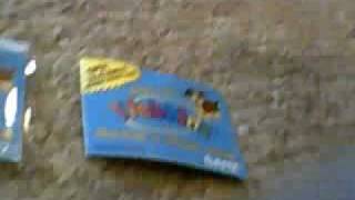 Free webkinz codes