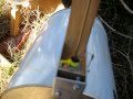 6 String Modular Solar Guitar (Semi Acoustic)