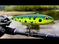River Smallmouth SMASHING the Frog Spook