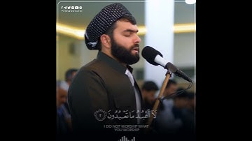 سورة الكافرون_پێشەوا قادر