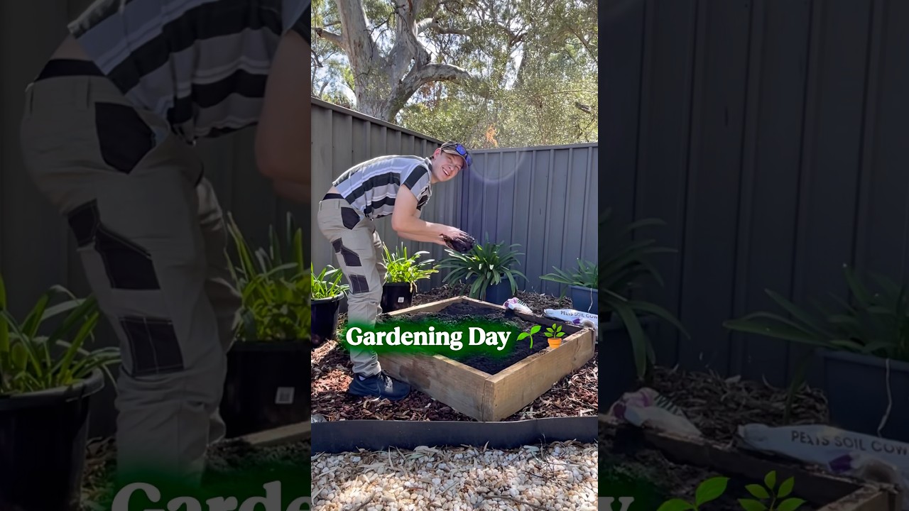 Gardening day! Check out our new garden bed veggie patch! 🪴🌱