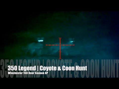 Video 350 Legend | Coyote & Coon Hunt | Winchester 150 Deer... - youtube