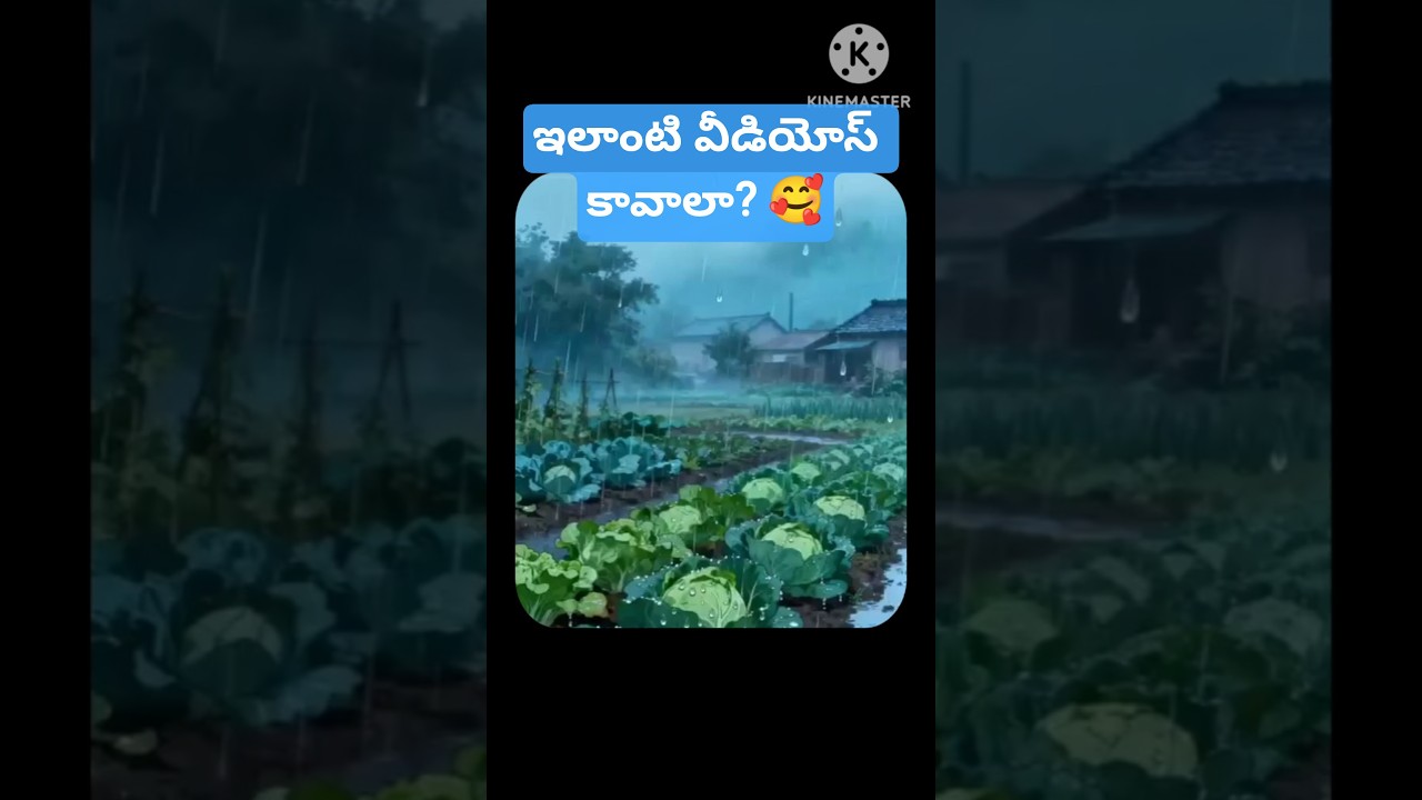 ghibli videos కావాలా? 