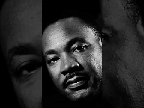 The freedom fighter