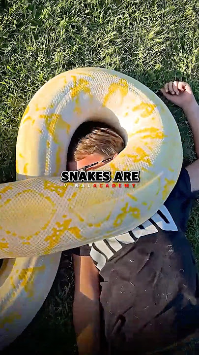Joe Rogan reveals Scariest Anaconda Story