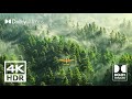 The Most Relax Landscape Dolby Atmos - 4K HDR Dolby Vision