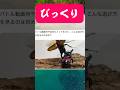 クワガタ相撲の試合中に起きた珍事件　#shortvideo #クワガタ #昆虫 #ムシキング