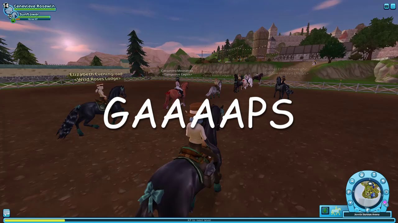 SSO Chaos ! Wild Roses Lodge Dressage 1 YouTube