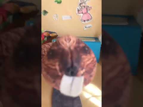 Блоп топ #блоптоп - YouTube