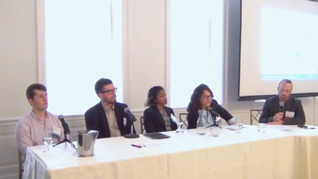 ETIS 2013: Professional Development Panel