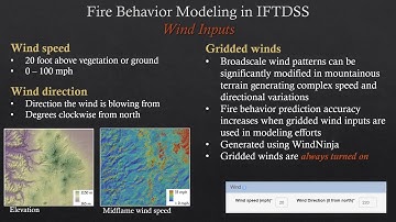 Modeling and Reports