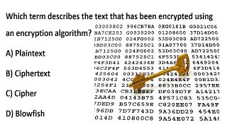 Ciphertext Plaintext Blowfish | WhatsApp End-to-End Encryption | MCQ Explained