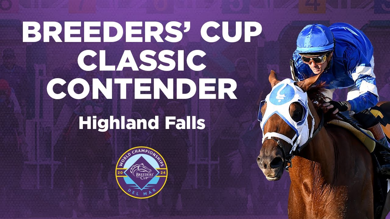 2024 Breeders' Cup Classic Spotlight - Highland Falls - YouTube