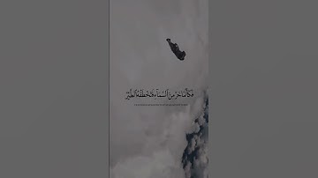 #القرآن_الكريم #quran #آيات #تلاوات#قرآن#تلاوة_خاشعة #قران_كريم#القرآن#تلاوة #قرآن_كريم#تلاوات_خاشعة