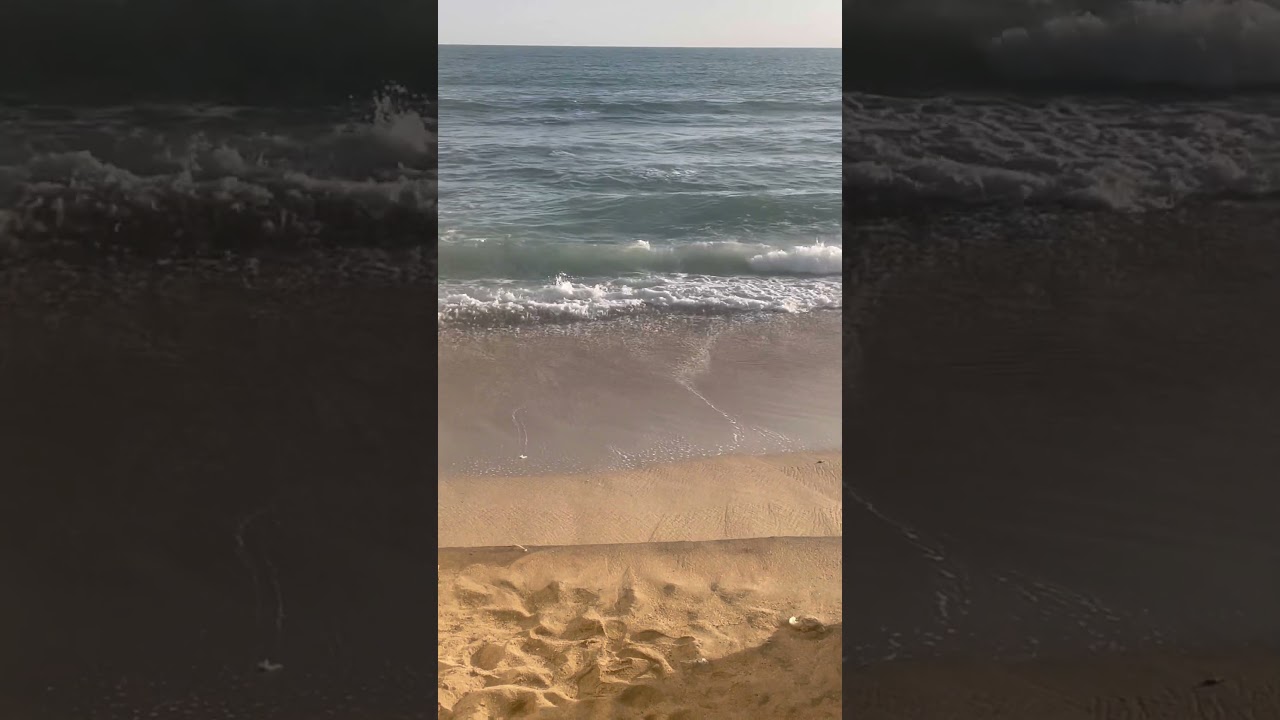 beachvibes #beachlife - YouTube