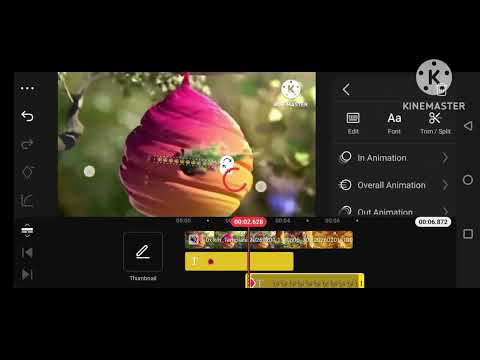 Ctc beez 2013 speedrun