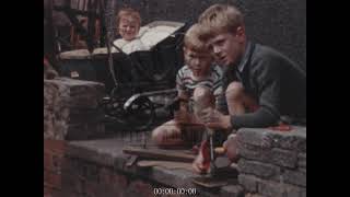 Brothers Playing on a Lawn, 1960s - Archive Film 1090493