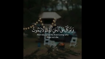القارئ عادل ريان سورة (الفرقان)