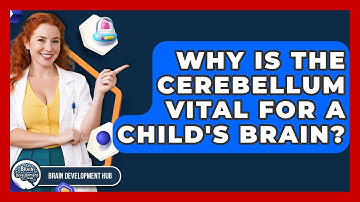 Why Is The Cerebellum Vital For A Child