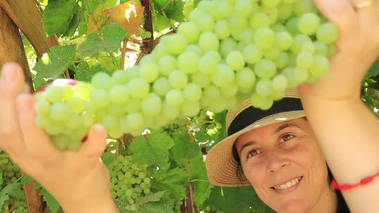 Siembras para Febrero (las que sí y las que no) 🌿| Actividades Huerteras en el Hemisferio Sur