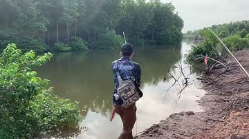 Câu cá chẽm to ở Bình Đại