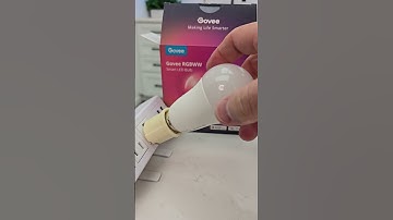 Govee LED Smart Changing Light Bulb  How it Works