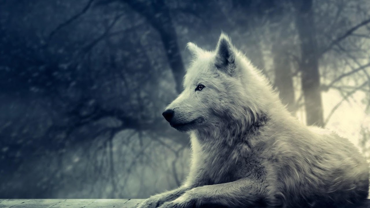 ULD25 Storytime Fury Warr PoV - auriyaa