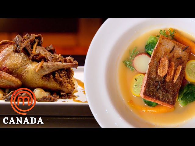 Best 60-Minute Dishes | MasterChef Canada | MasterChef World class=