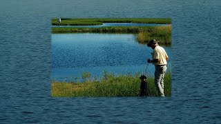 How the FIREDILL helps young dogs do huge marks, and learning them with ease with Bill Hillmann