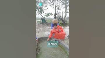 Giếng nước nóng kỳ lạ ở Quảng Nam #doclavietnam #doclabinhduong #giengnuocnong