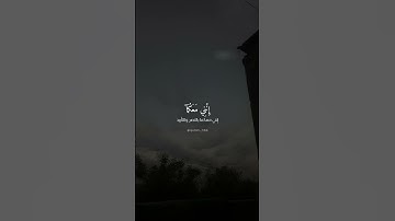 قال لا تخافا انني معكما اسمع وارى 🌱 ايات قرانية قصيرة تريح النفس حالات واتس اب قران كريم بصوت جميل🌸