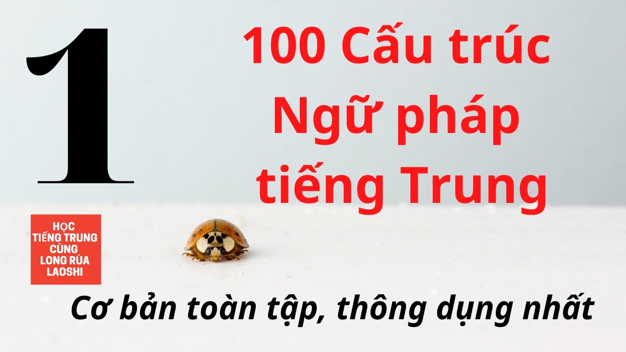 100 Cấu trúc Ngữ pháp tiếng Trung Cơ bản toàn tập, thông dụng nhất P1