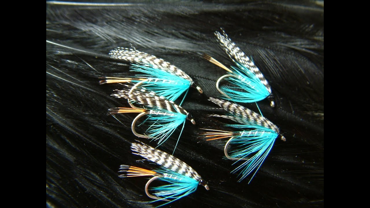 silver doctor blue Teal flank