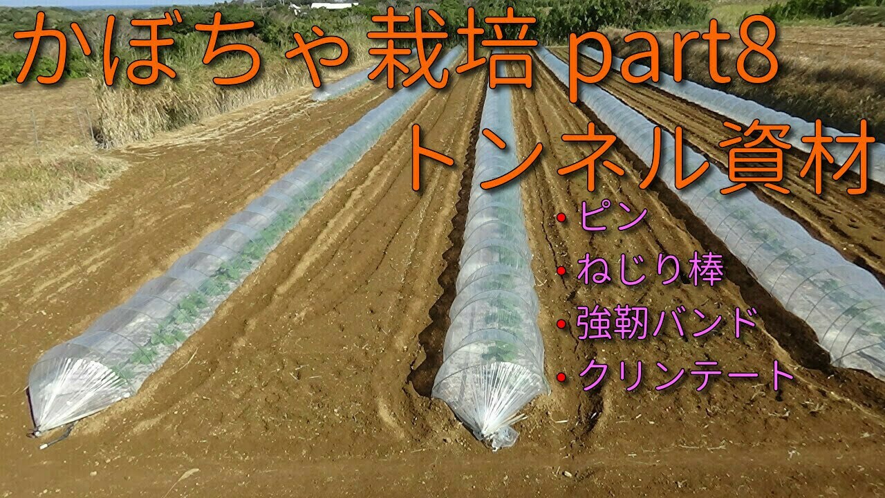 かぼちゃ栽培 トンネル造りの資材とアーチの間隔について Part8 Youtube かぼちゃ栽培 トンネル造りの資材とアーチの間隔について Part8 Youtube