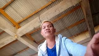 mandi kucing.Cepi gustap