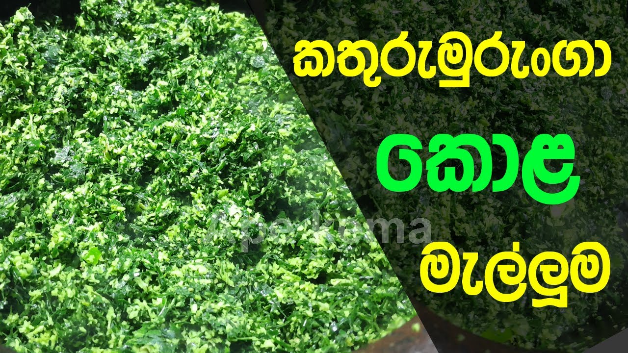 රසවත් කතුරුමුරුංගා කොළ මැල්ලුම | Kathuru Murunga Kola Recipe ...